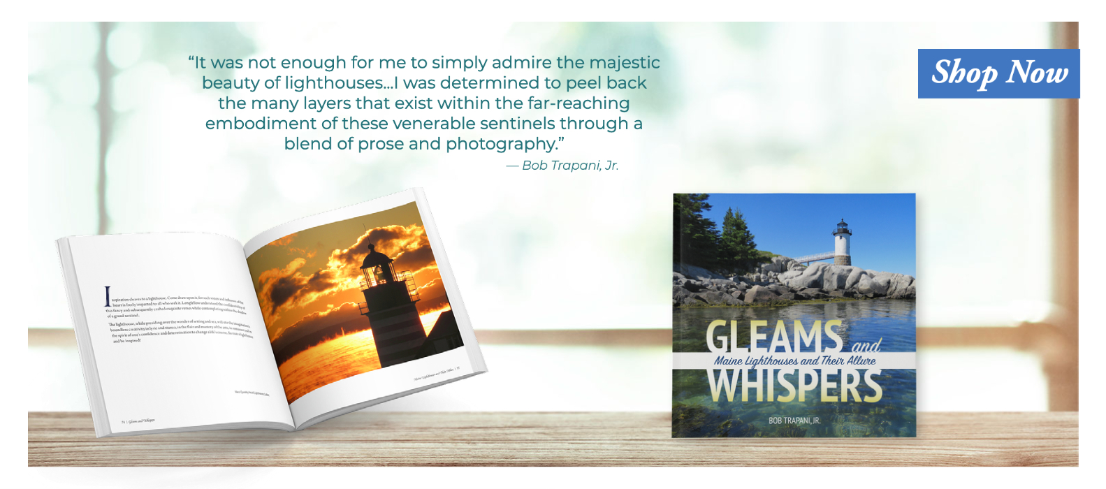 Gleams and Whispers: Maine Lighthouses and Their Allure by Bob Trapani, Jr.