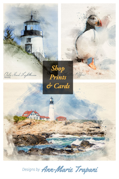 Prints and Note Cards Featuring Watercolor designs by Ann-Marie Trapani